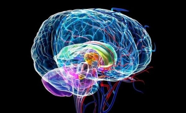 Неужели вы хотите уведомить???