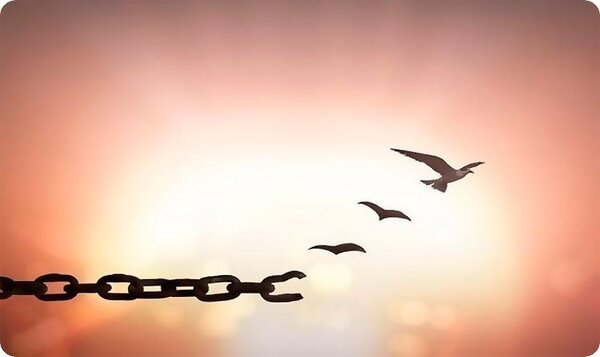 Душа вкусит...